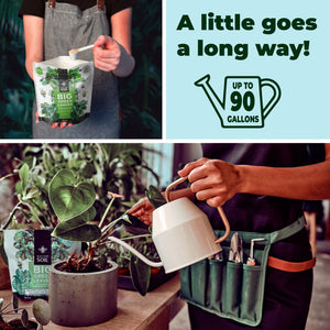 fertilizer for houseplants