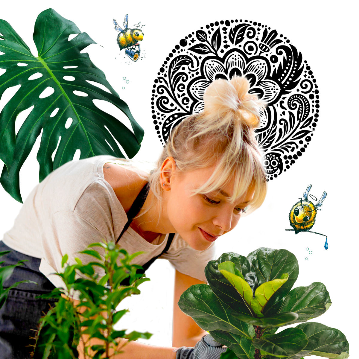 holy grail of plant care guarantee