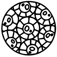 cell walls plant health