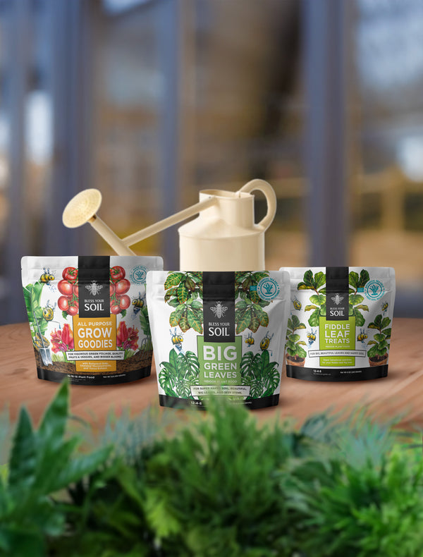 best plant foods for garden and houseplants