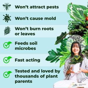 plant food for indoor plants