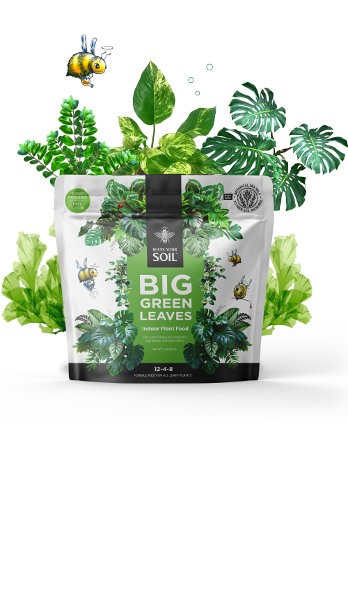 plant food for houseplants