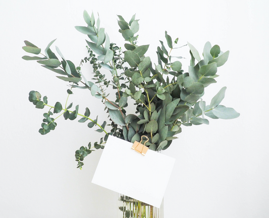 Gift Guide for the Plant Lover in Your Life