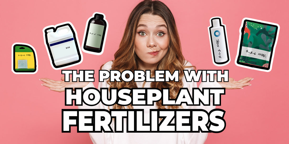 The Problem with Houseplant Fertilizers