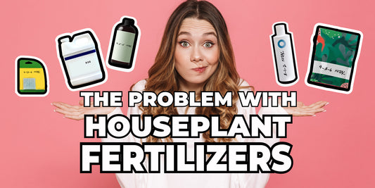 The Problem with Houseplant Fertilizers