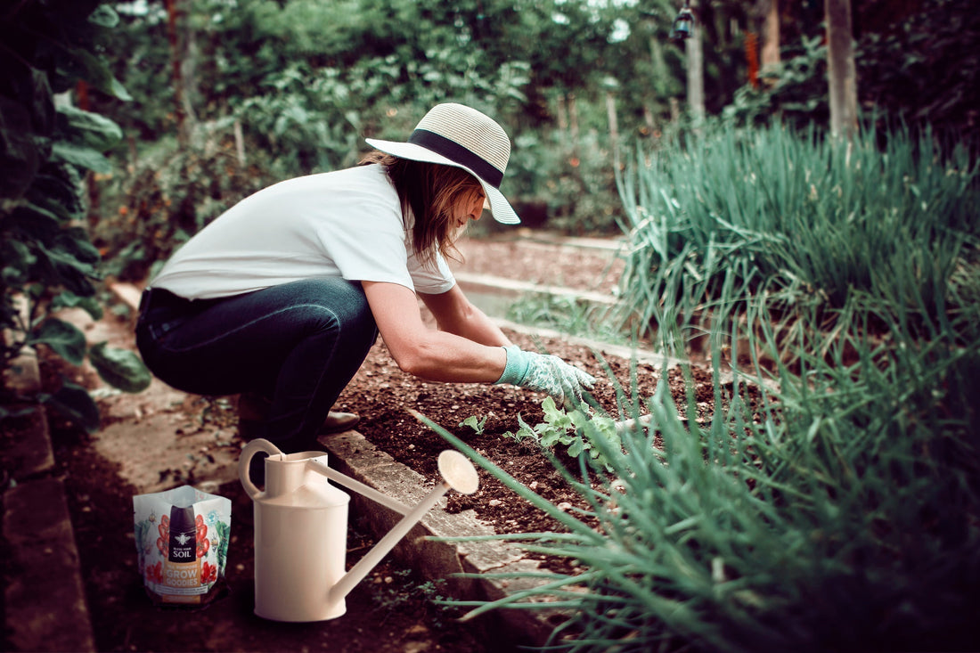 how to plant a spring garden