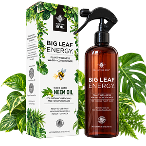 Big Leaf Energy®
