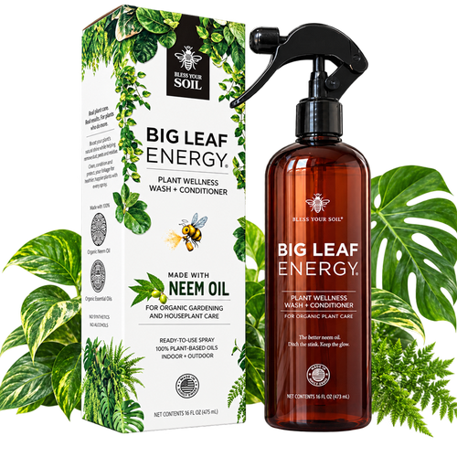 Big Leaf Energy®