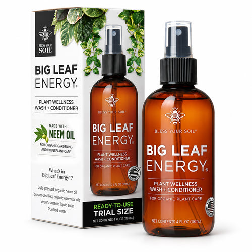 Big Leaf Energy®