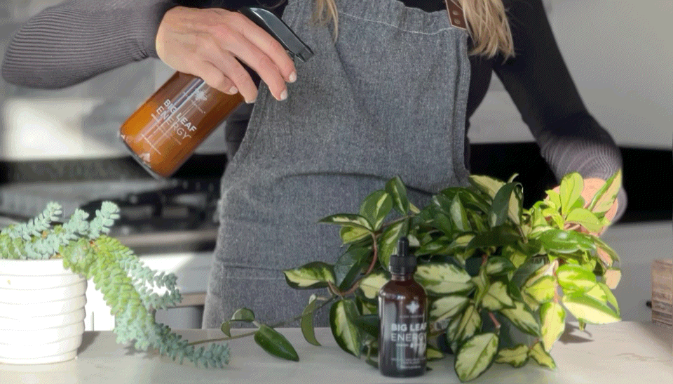 Big Leaf Energy® Bless Your Soil