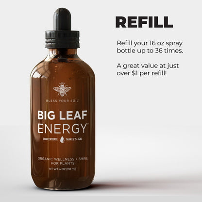 Big Leaf Energy® – Bless Your Soil