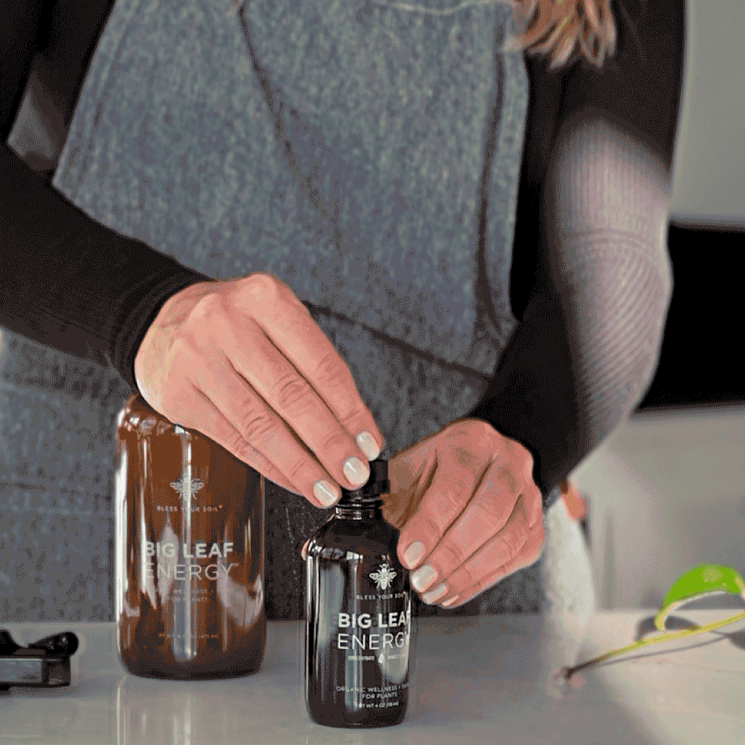 BLESS YOUR SOIL Big Leaf Energy Concentrate - Thumbnail 5