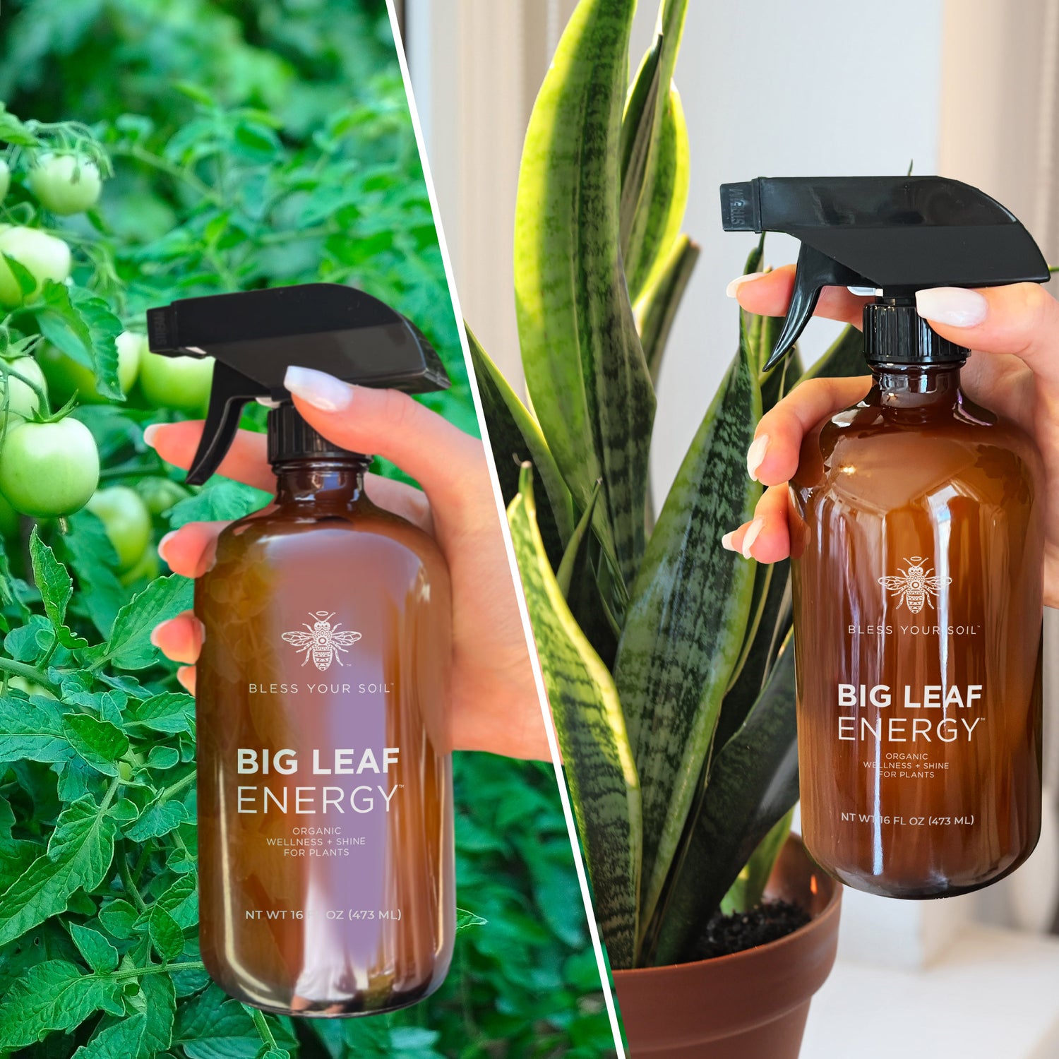 neem oil spray for indoor plants
