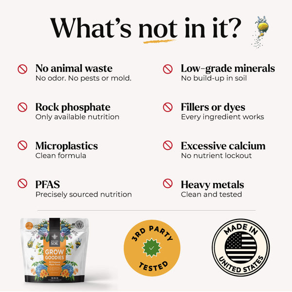 clean plant food