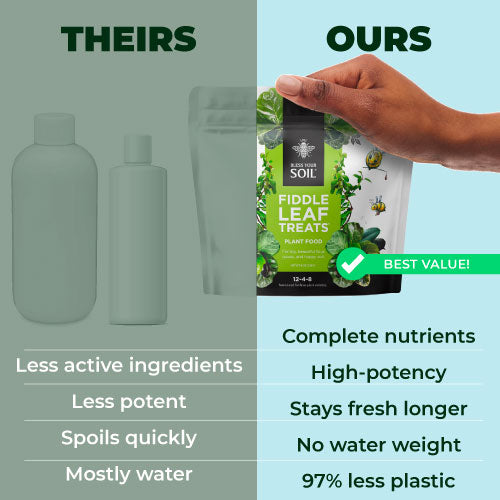 Compare Fertilizers for fiddle leaf fig