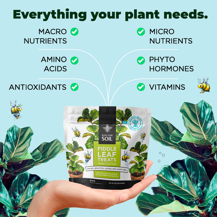 Fiddle Leaf Treats FiddleLeaf Fig Tree Fertilizer, 312 NPK Bless