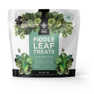 fiddle leaf treats fertilizer