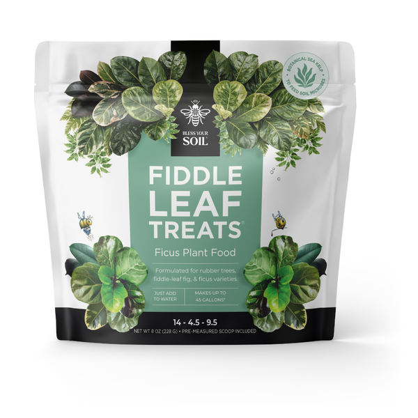 fiddle leaf treats fertilizer