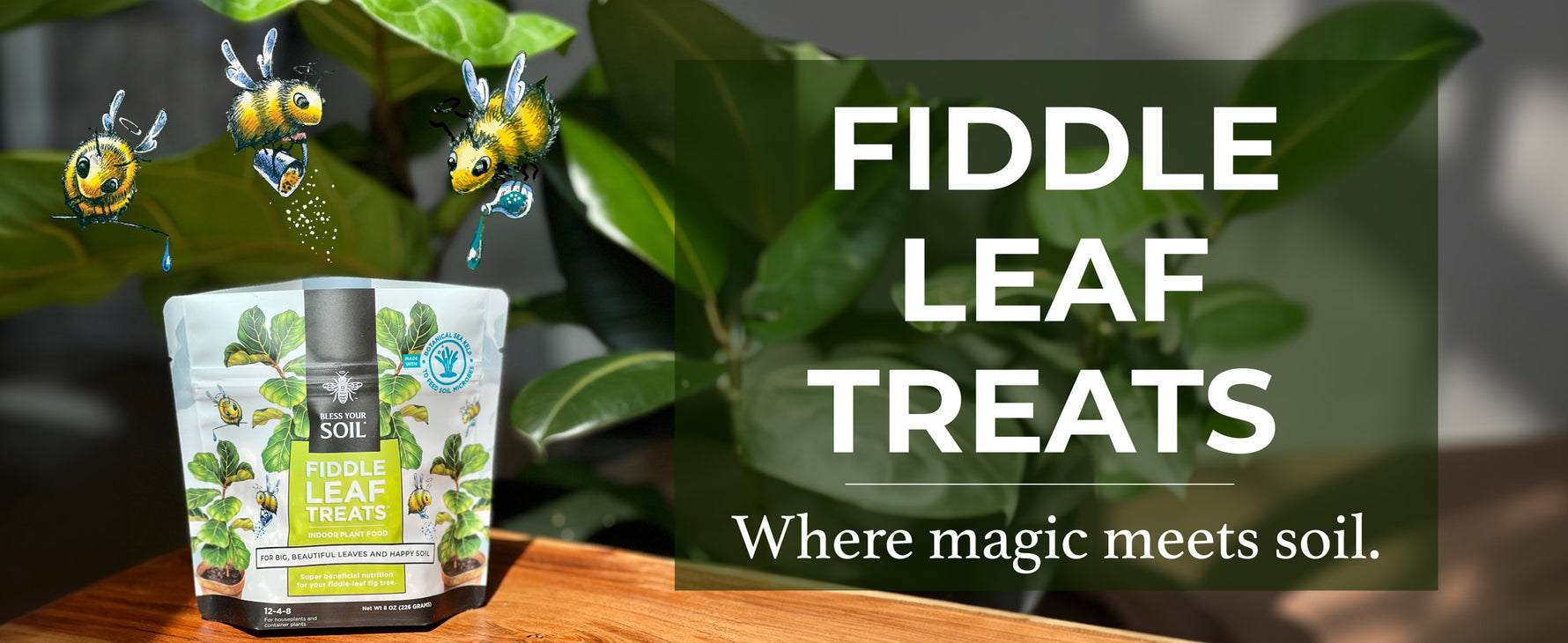 Fiddle Leaf Treats FiddleLeaf Fig Tree Fertilizer, 312 NPK Bless