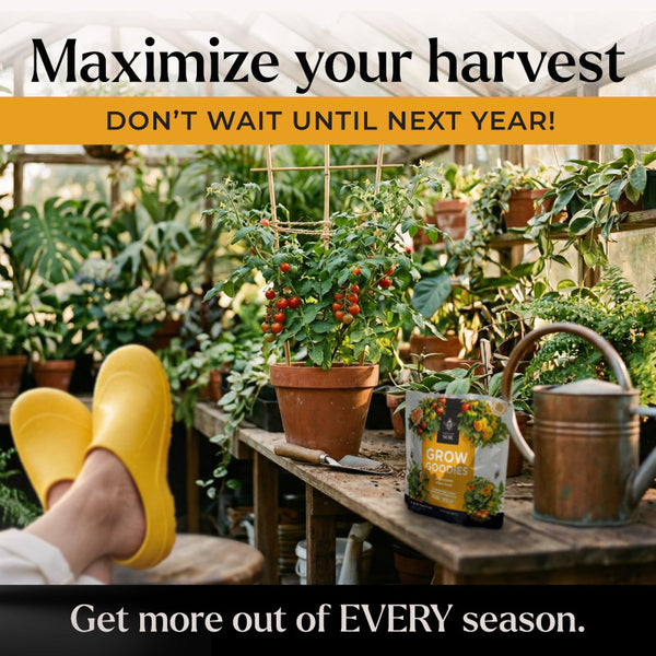 garden fertilizer