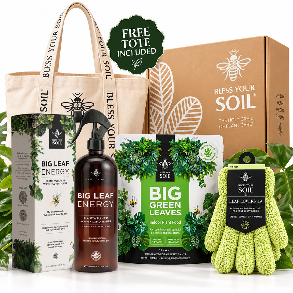 houseplant care starter gift set
