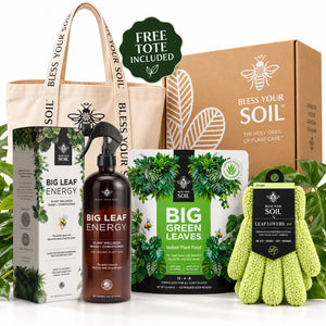 houseplant care starter gift set