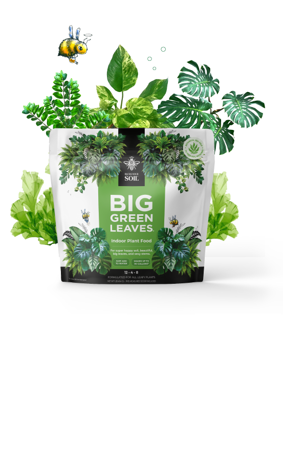 houseplant fertilizer plant food