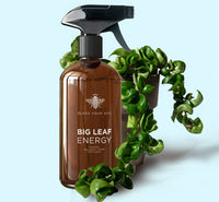 plant leaf wellness spray