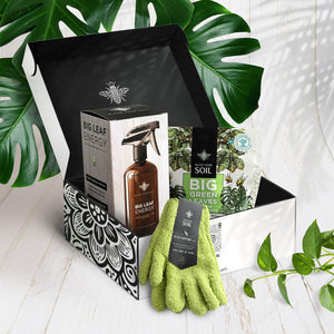 houseplant plant care gift set