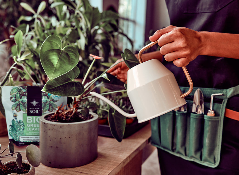 how to use houseplant fertilizer