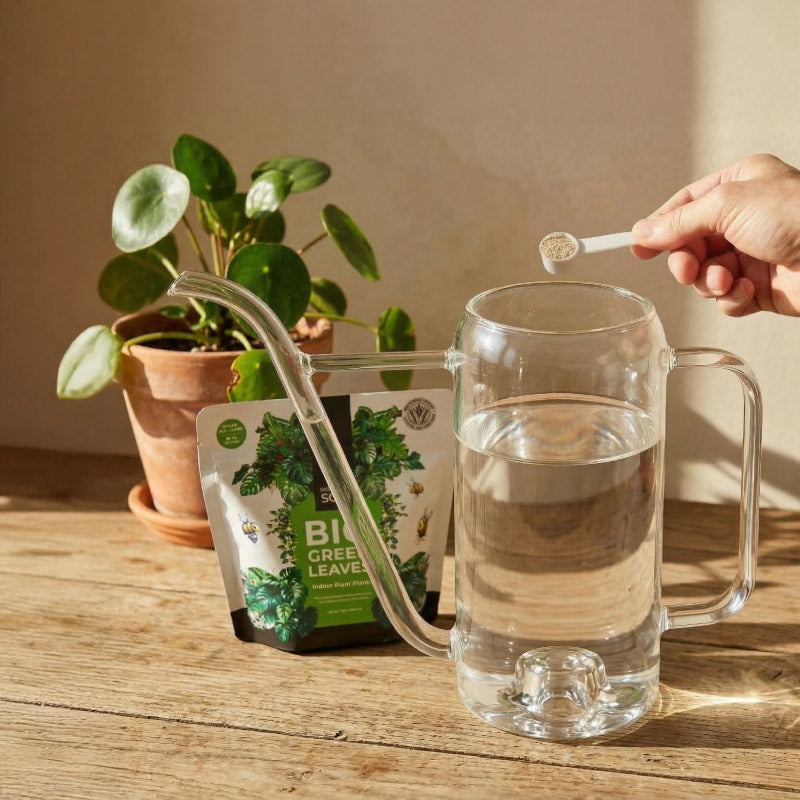 indoor plant fertilizer