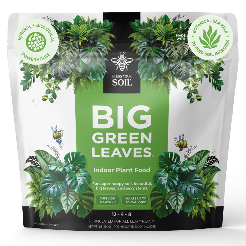 indoor plant food
