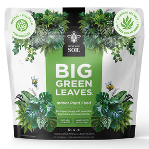 indoor plant food