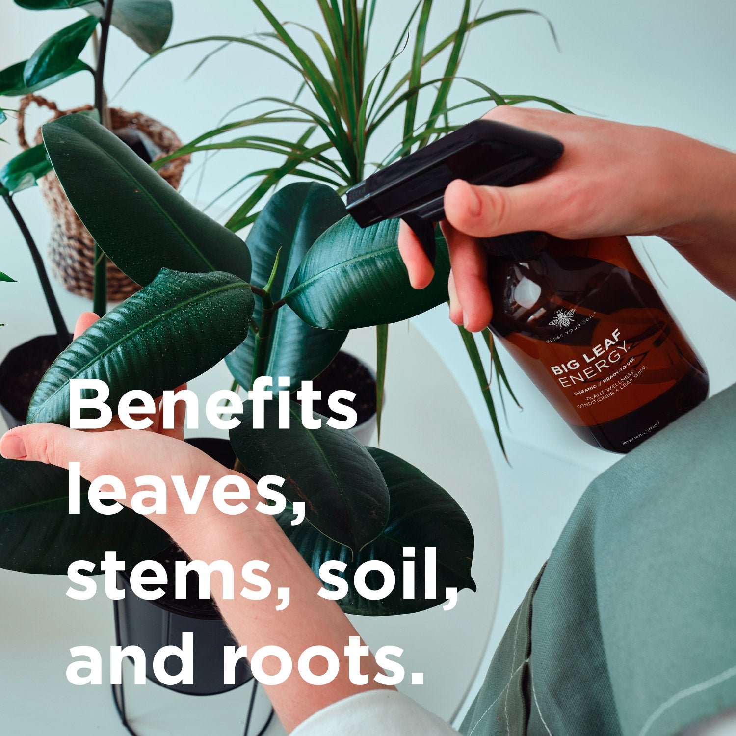 BLESS YOUR SOIL Neem Oil Plant Spray - Thumbnail 2