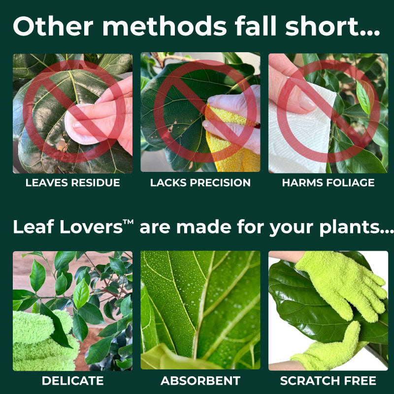 Microfiber Dusting Gloves for Plants : Leaf Lovers 2.0 – Bless Your Soil