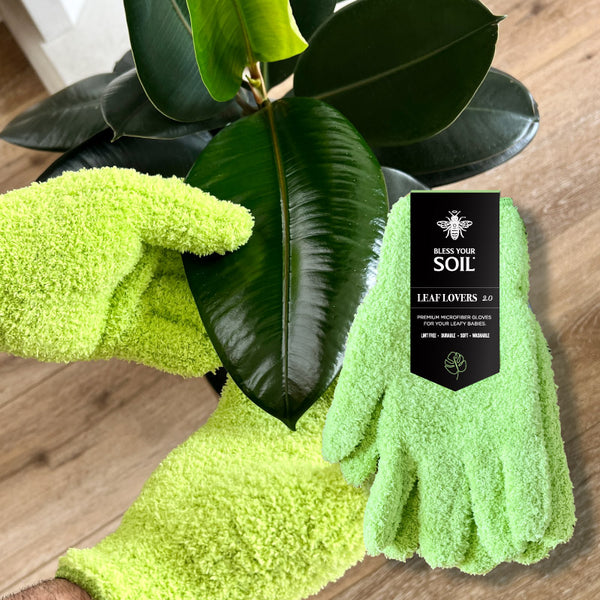 Say goodbye to dusty leaves with our microfiber dusting gloves 🧤 Our gloves  are essential for your plants health. They help remove dirt…