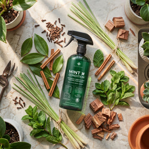 mint bug spray ingredients