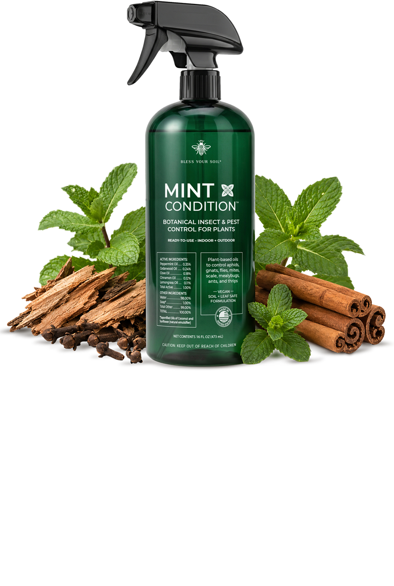 natural pesticide for plants