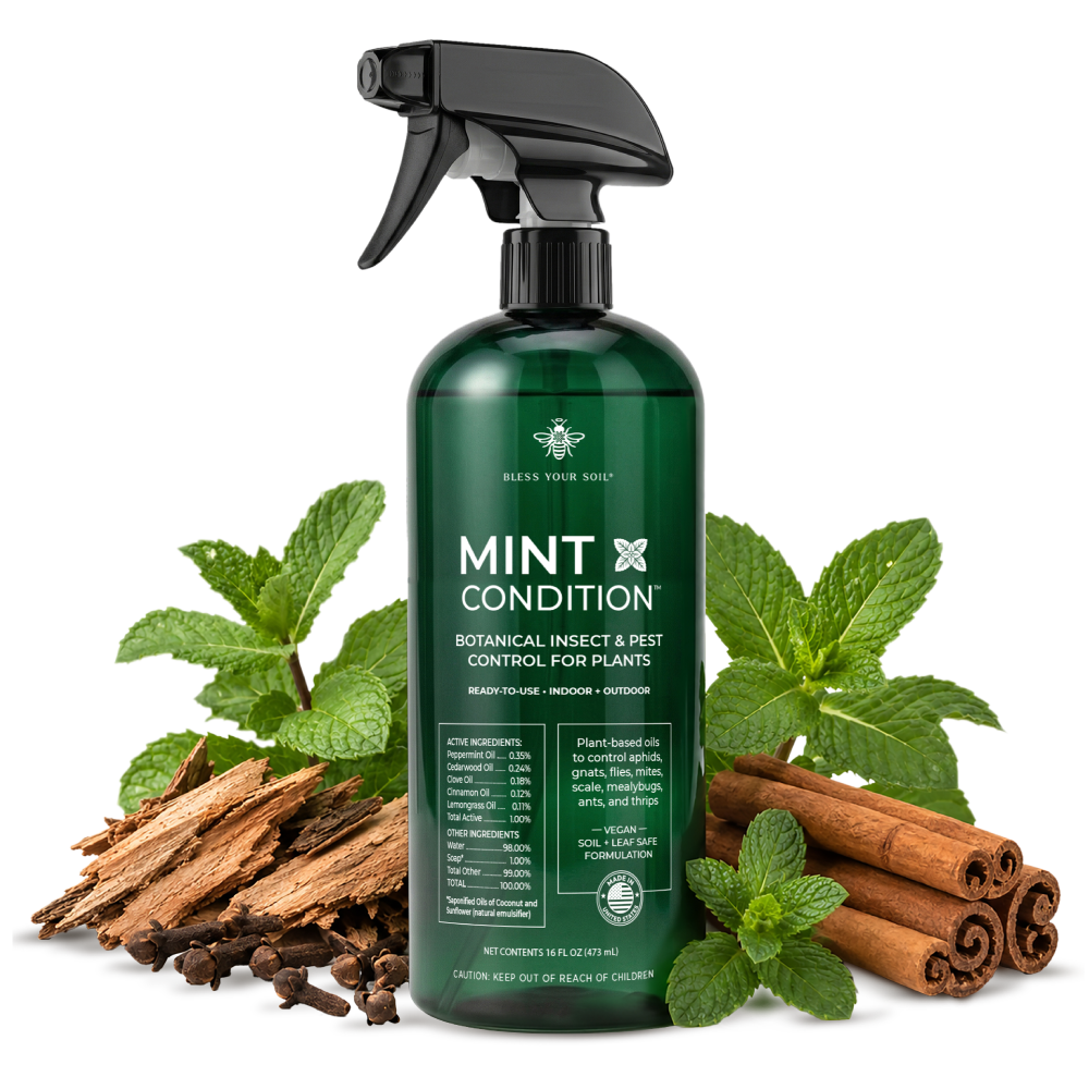 Mint Condition™