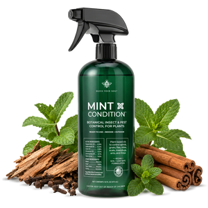 natural pest control spray