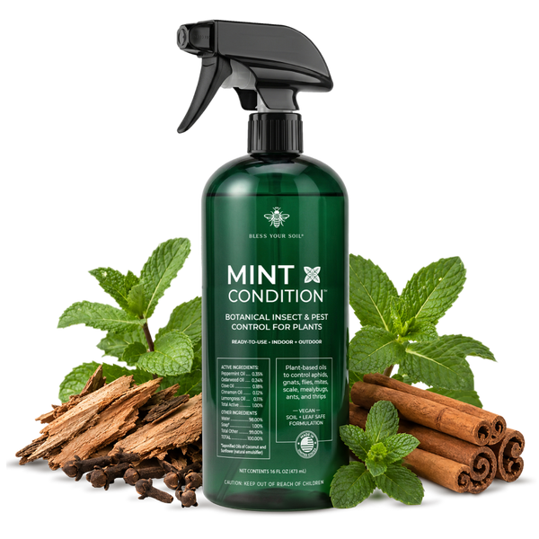 natural pest control spray