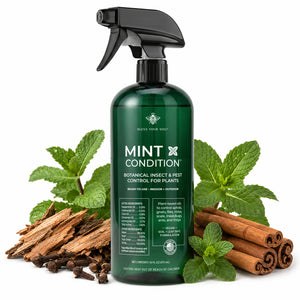 natural pesticide for plants