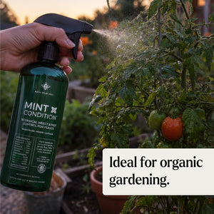 organic pesticide spray for gardens