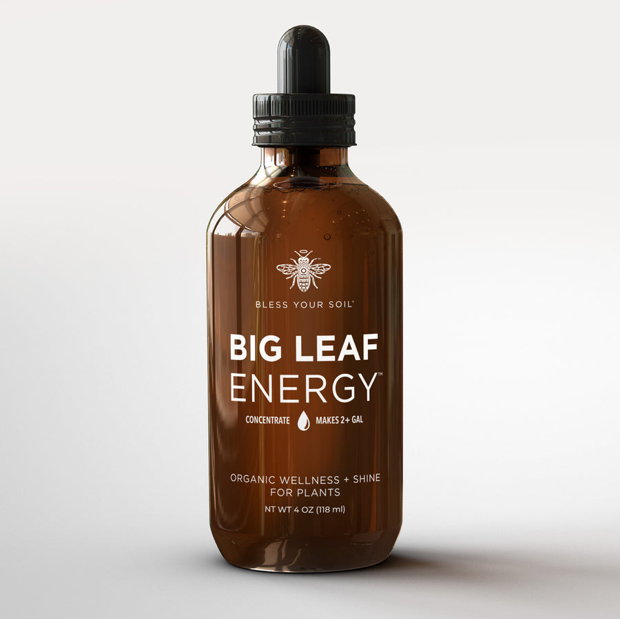 Big Leaf Energy® Refill Concentrate