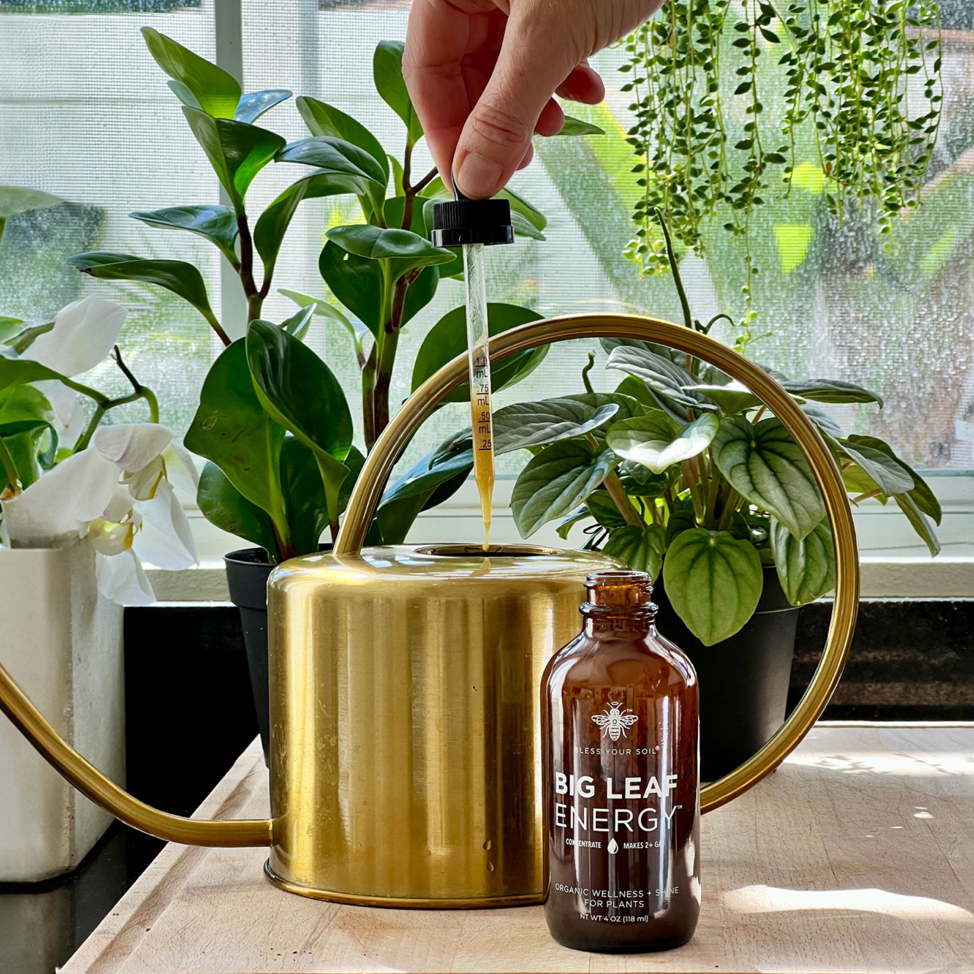 BLESS YOUR SOIL Big Leaf Energy Concentrate - Thumbnail 4
