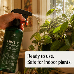 organic pesticide spray for indoor plants