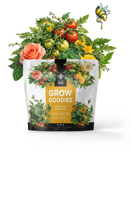 outdoor plant food
