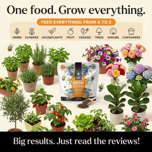 plan food for garden