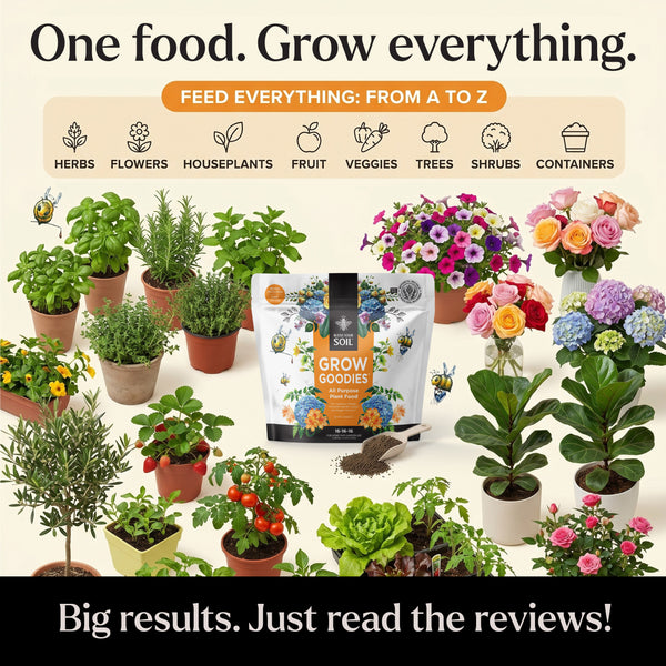 plan food for garden
