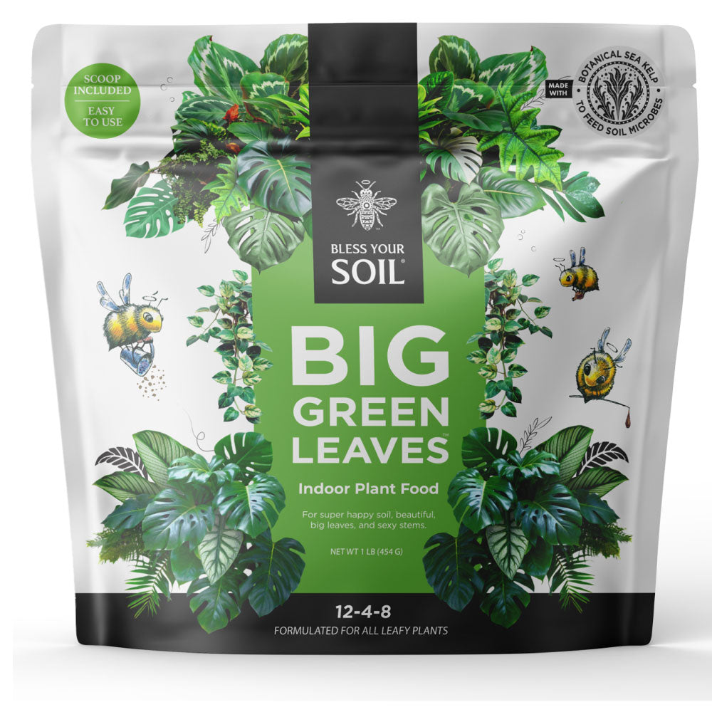 plant food for houseplants